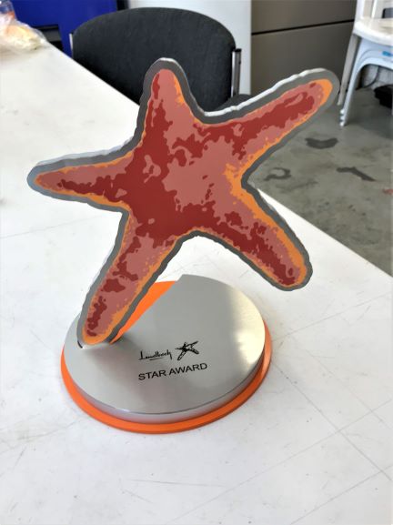 Lundbeck Starfish Custom Desktop and Plaques NSW